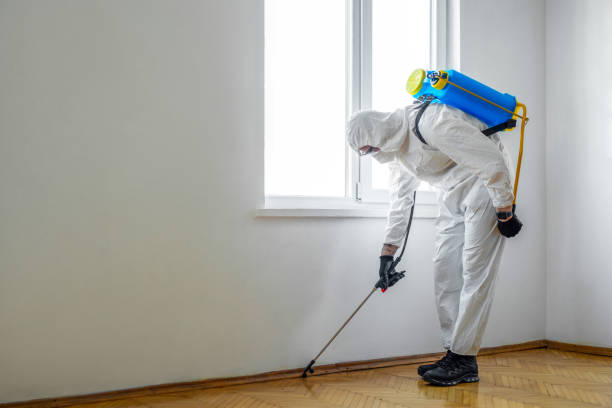 Professional Pest control in Hawthorne, NY